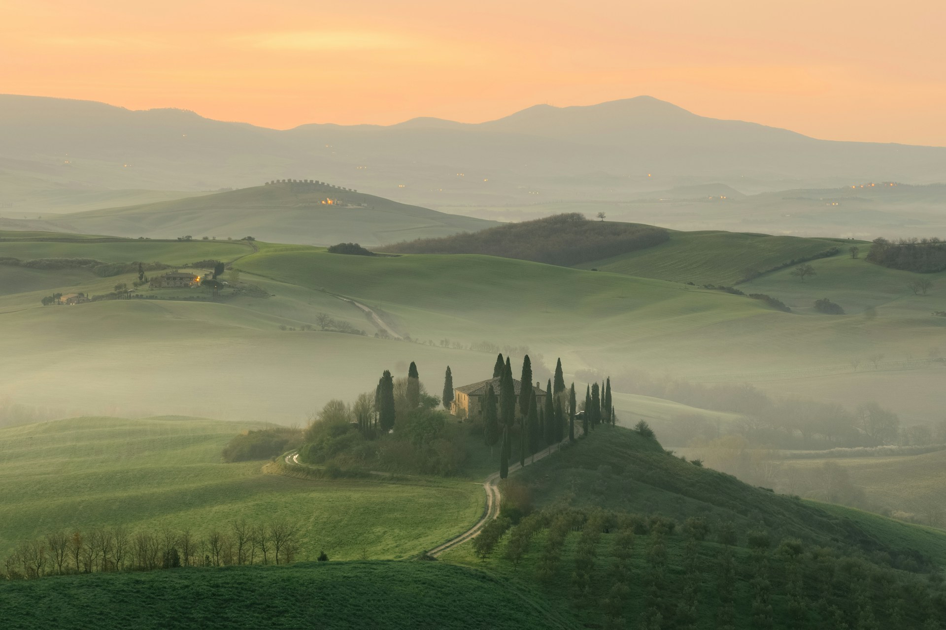 Cypress-lined road winding through the golden hills of Tuscany at first light