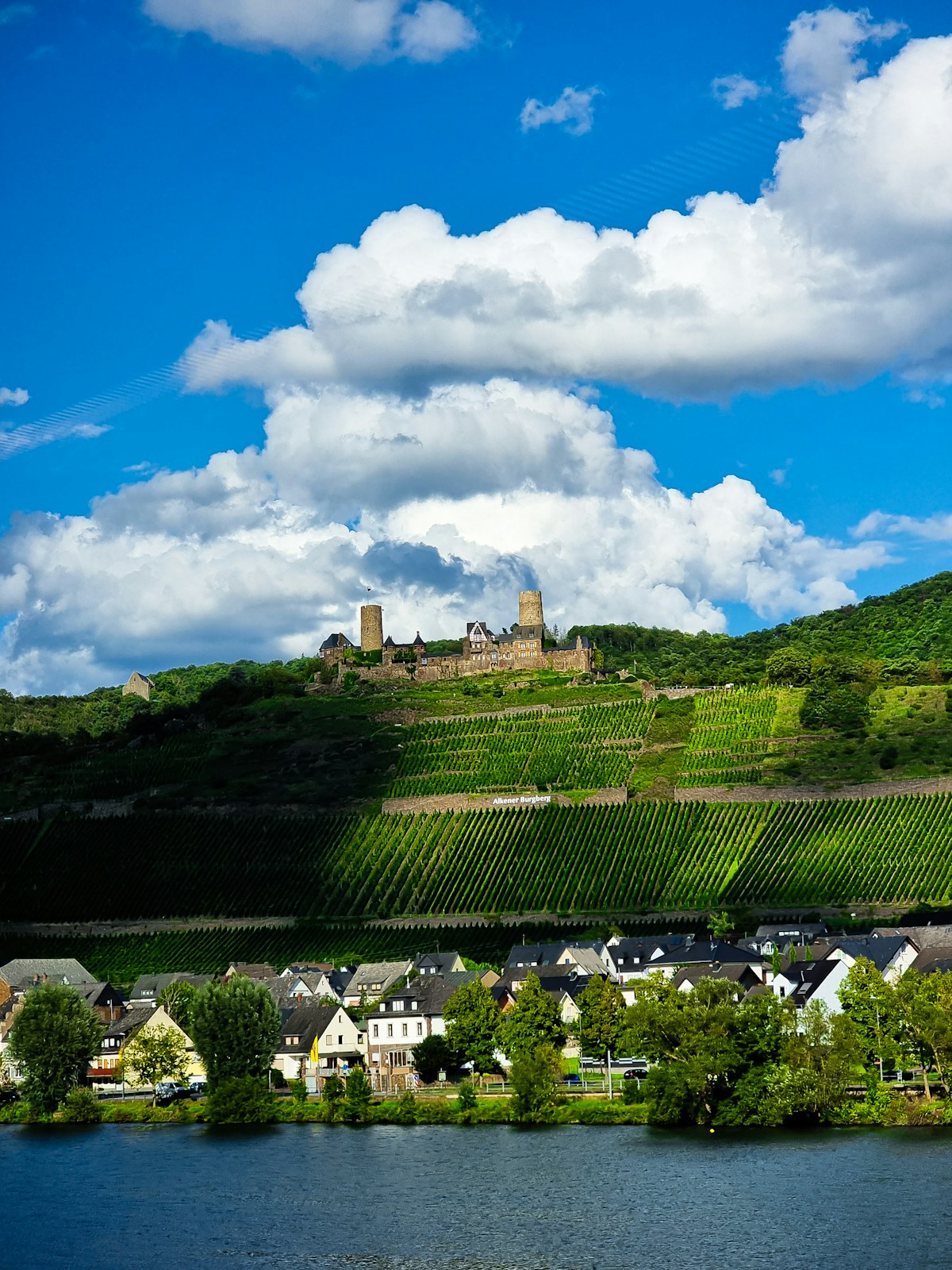 A castle overlooking a river village and vineyards along the Rhine